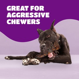 Lively Tails Liver Coated Dog Bones for Aggressive Chewers, Long Lasting Dog Bone, Chew Bones for Large Dogs, Beef Shin Bone, 3 Pack
