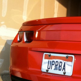 Lunsom 4 Pack License Plate Bolts,Skull License Plate Screws Fastener Kit Mini Decorative Screw Tag Bolt Fit for Most Vehicle Motorcycle Truck,Silver