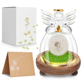 Geschenke für Frauen,LED Wunscherfüller,Geburtstagsgeschenk für Frauen,Abschiedsgeschenk Kollegen Frauen,Pusteblume im Glas Geschenke für Mama,Valentinstag, Hochzeit, Muttertag,Weihnachten Geschenke