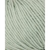 Wool and the Gang, The One Merino, Euclayptus Green, 50g,
