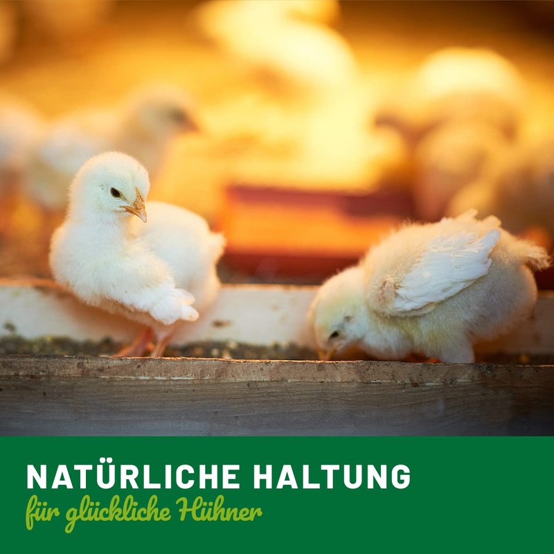 HÜHNER Land Vitamin Formula for Chickens & Poultry 500 g