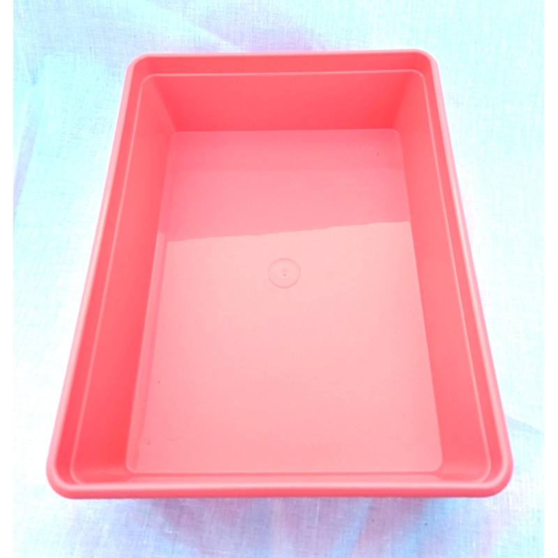 Instrument tray – 19cm x 14cm x 5.5cm. polypropylene (Pink)