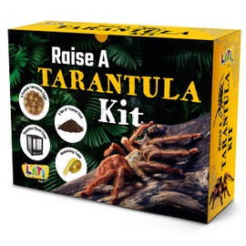 LATI TOYS Prank Tarantula Raise - Wrap Your Real Gift in a Prank Funny Gag Joke Gift Box ; Awesome Novelty Gift Box for Any Adult or Kid! Gag Party Funny Silly Joke Gift, No Contents Added