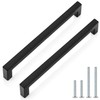 Probrico 10 Pack Matte Black Stainless Steel Modern Square Cabinet