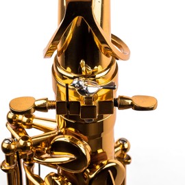 Sax Booster Accessory – Upgrade Your Sax Tone – Jazz Classical Saxophone Gear (Bird style)