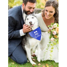 HDGDT Big Brother Dog Bandana Collar, Pregnancy Announcement Dog Bandana, Strong D-Ring for Easy Leash Attached Gender Reveal Dog Bandana, Adjustable Dog Collar with Quick Release Buckle for Dogs Cats