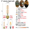 LiteHistory Dimmable E26 Edison Bulb 6W Equal 60 watt Light
