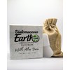 DiatomaceousEarth Exfoliating Face Mask