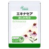 Lipsa Echinacea C-117 (60 Capsules), Supplement, Self-Care, Health, Beauty, Diet,