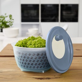 Rotho 1722406161 Fresh Salad Spinner Plastic (PP) BPA-Free, Blue/Transparent, 4.5 L (25.0 x 25.0 x 16.5 cm)