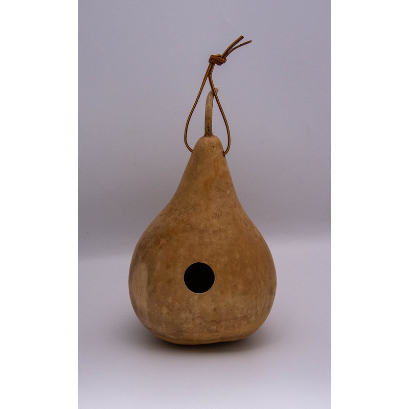 Gourdaments Gourd Birdhouse, Unfinished, Craft Ready, Box of 3