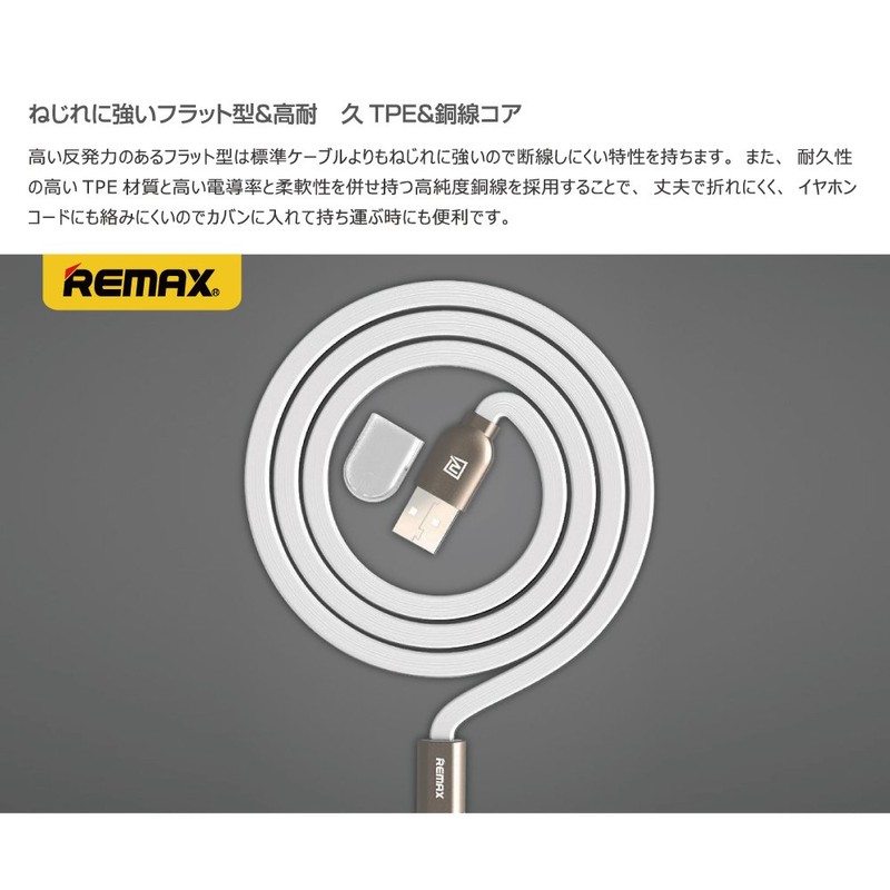 Remax (Cable Television) Twins (Twins) 2 in 1 Cable 1