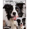 Set of 2, Full Color Night Vision, 3 Megapixels, Pet