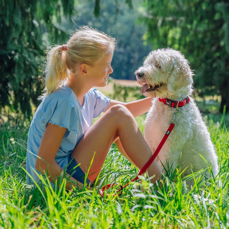 Nobby Leash Soft Grip, 120 cm/ 15 mm, Red