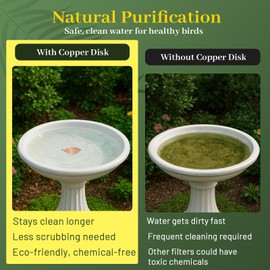 Niteguy Bird Bath Copper Disk,Bird Bath Purification Disk 0.6mm Reinforced 99.99% Pure Copper Cleaning Disk with 3-Point Support,Fits Outdoor Birdbath & Bowl,Provide Safe Clean Water,Leaf-2Pcs