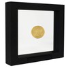 SAFE 4510 Floating Frame Black 27.5 x 22.5 cm Coin