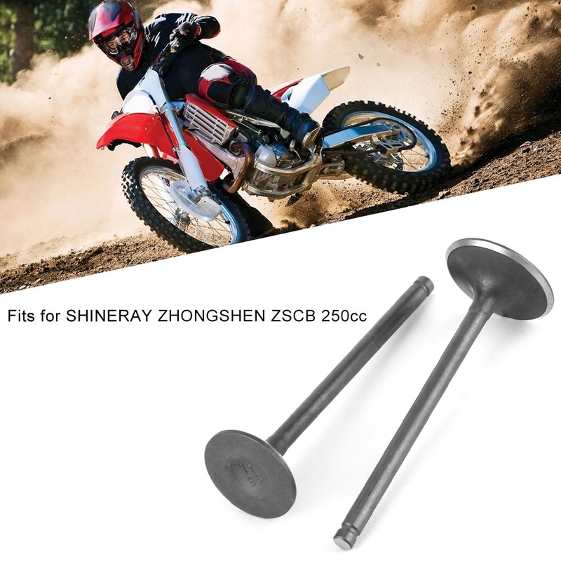 Pair Engine Head Intake Exhaust Valve Parts Fits for SHINERAY