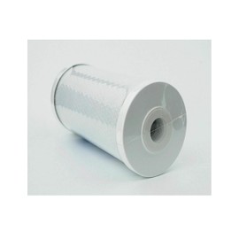 CFS – 1 Pack Heavy Duty Granular Carbon Water Filter Cartridge Compatible with TO8-R-05 Heavy Duty Models – Removes Bad Taste & Odor – Whole House Replacement Filter Cartridge – 5 Micron