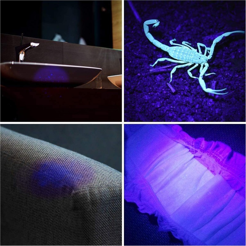 365nm Black Light UV Flashlight Handheld LED Blacklight Flashlight for