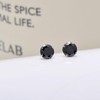 Black Cubic Zirconia Studs Sterling Silver Earrings for Men Women,