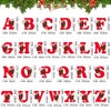 Letter Christmas Ornaments, Alphabet Ornaments, Christmas Tree Hanging Decorations, Acrylic