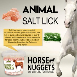 Himalayan Nature 100% Natural Solid Mineral Rock Salt - Salt Mineral Chunks animals