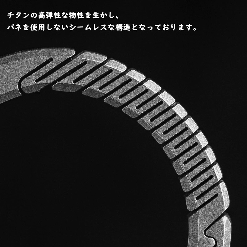 TISUR Men's Titanium Carabiner Keychain for Key Case with Key