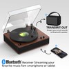 DANFI Audio Record Player Turntable with Full-Sized Platter & Built-in