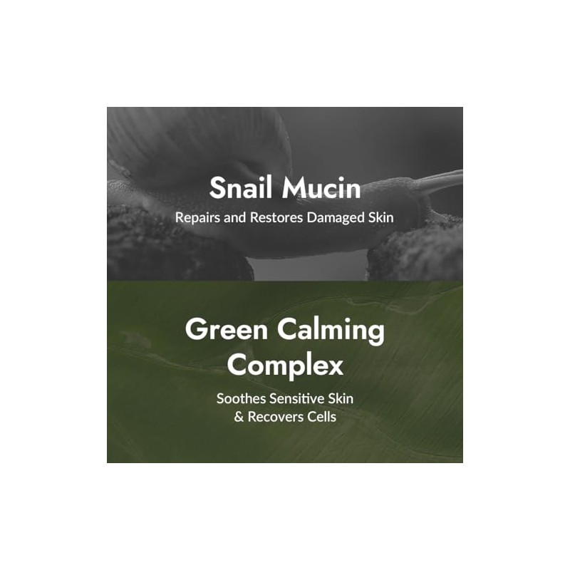 [MIZON] All in One Snail Repair Cream (120ml)