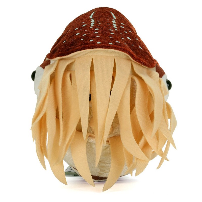 Carolata Nautilus Plush Animal 11cm*16cm*19cm