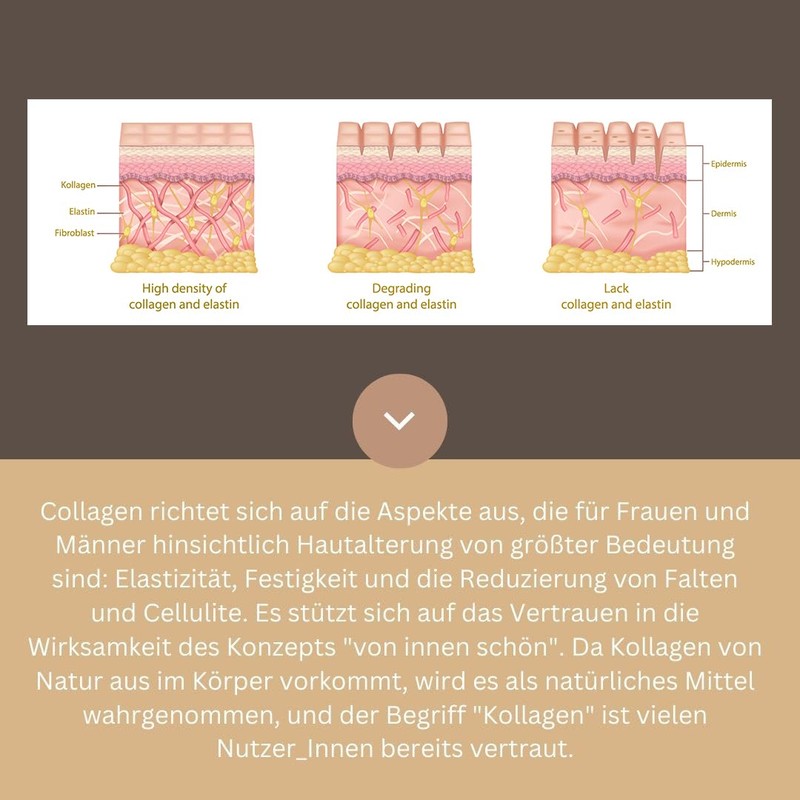 Collagen Powder, 2-Month Treatment, Pure Collagen Powder, Collagen Peptides, Bioactive