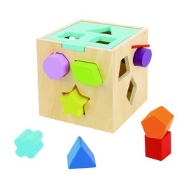 Tooky Toy Clasificador de Madera Cubo de Colores con Bloques, Jugete Didactivo