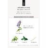 Quattro Botanico Oil Control & Face Cleanser for Men