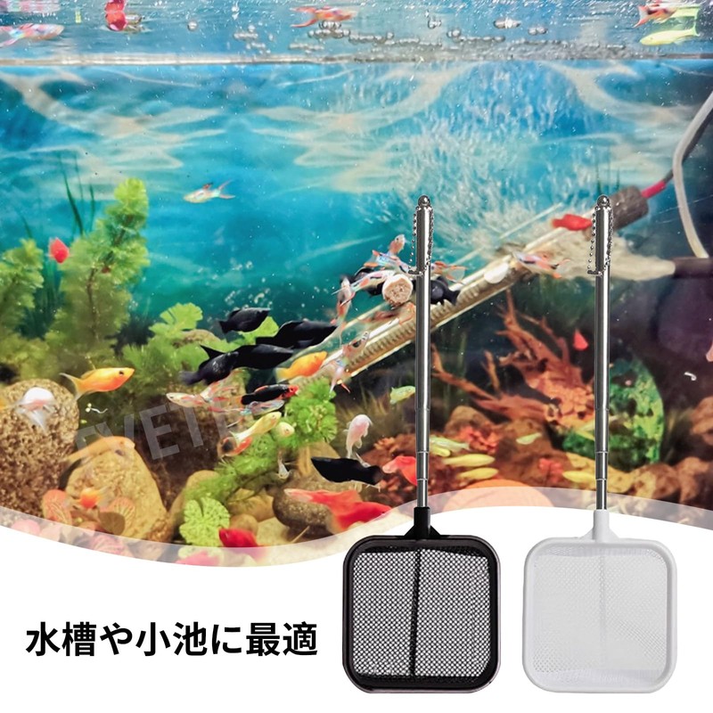 Stainless Steel Fish Net, Fish Net, Telescopic Stainless Steel Handle,
