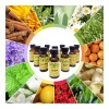 Body Relax Kit 3 Aceites Aromáticos - Esencia Aromatica Concentrada