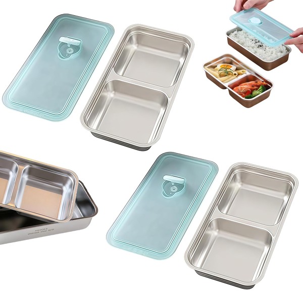AuraFusion Snack Box with Compartments - Pack of 2, Stainless
