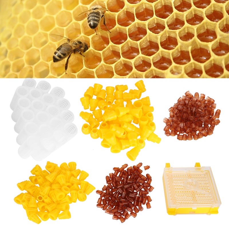 Plastic Queens Rearing System Bee Breeding Cultivating Box Cell Cup