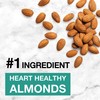 KIND Nut Bars, Dark Chocolate Mint, Healthy Snacks, Gluten Free,