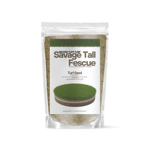 Old Cobblers Farm™ Wicked Tuff Turf Savage Tall Fescue -