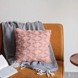 Pagnanno. Set of 2 Soft Velvet Cushion Covers 45x45cm(18x18 Inches) Fluff Throw Pillowcases Square Cushion Covers for Chairs,living room,bedroom with Invisible Zipper (18"x18" (Pack of 2), Blush Pink)