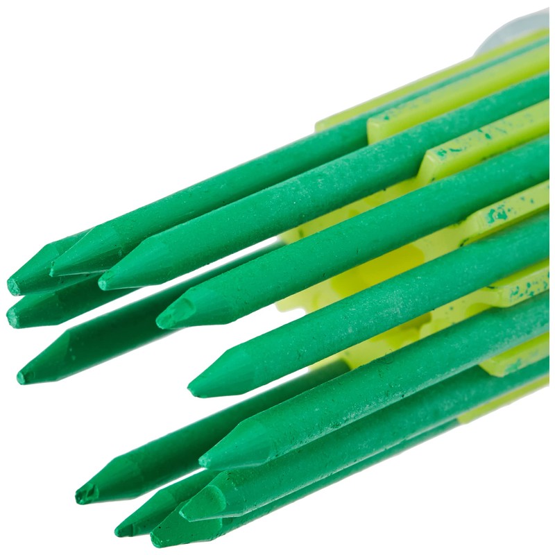 Lyra L4490067-10-1 Dry Refill Set Green Pack of 12 Marker