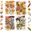 DALARAN 95Pcs Orange Dried Pressed Flowers for Resin Molds Real