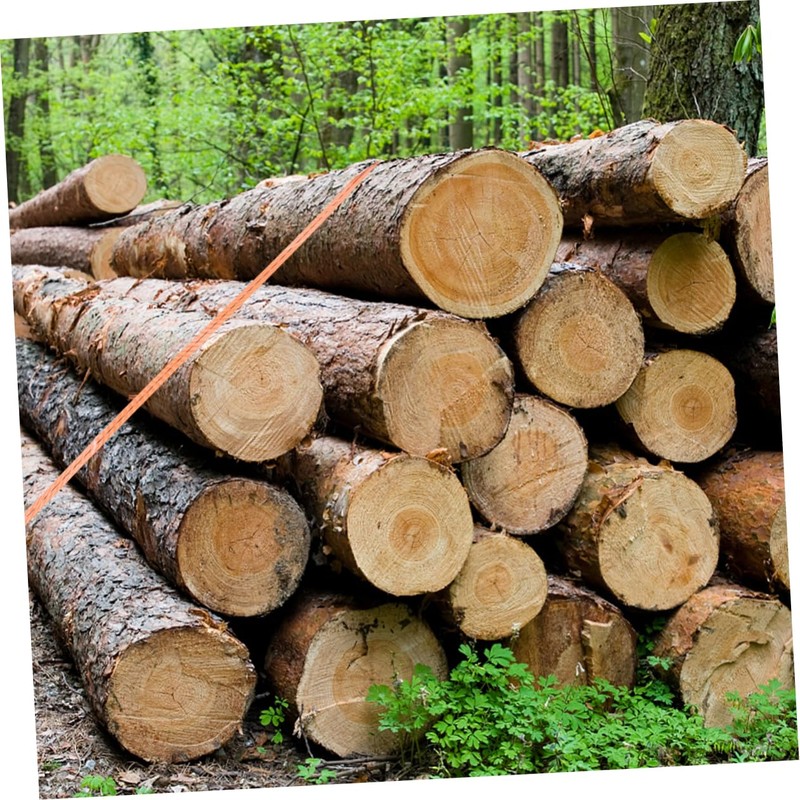 ULTECHNOVO 2pcs A Wheel Scooter Truck Winder Belt Polyester Webbing