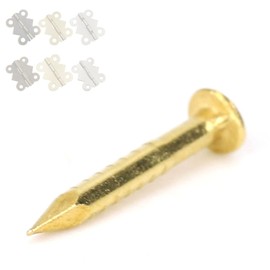 100Pcs Brass Gold Nails, Round Head Gold Nails Brass Wall Pins for Furniture Hinge Hardware Accessories 10mm/15mm/18mm/22mm (10mm long)