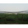 Excursions Aviary Netting 1" Heavy Knotted Poultry Net (25' x