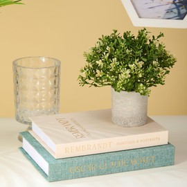 Decorative Books Set of 2 - Linen Storage Boxes & Decorative Fake Books | Photo & Keepsake Storage Box for Home Decor | Coffee Table, Bookshelf & Aesthetic Shelf Decor