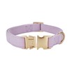 Petiry Soft Corduroy Fibric Dog Collar with High Grade Metal