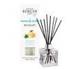 MAISON BERGER Zest of Verbena Cube Reed Diffuser, Clear