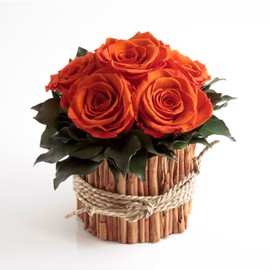 ROSEMARIE SCHULZ Heidelberg Rose Arrangement 6 Preserved Roses Long Lasting 3 Years Flower Arrangement Farmhouse Flower Decoration Table