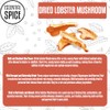 Essential Spice Dried Lobster Mushrooms, 4 oz – Whole, Bold